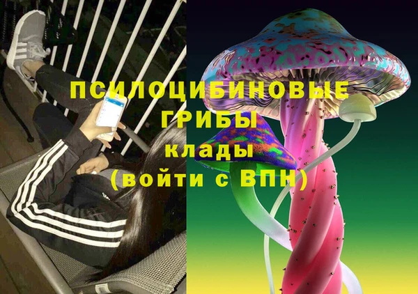 дурь Балахна